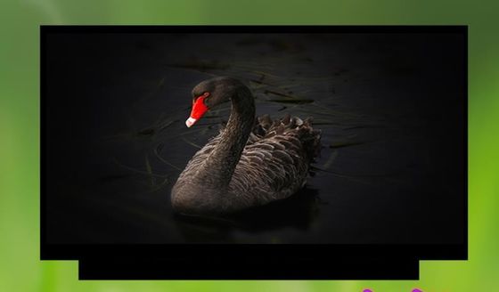 N133HCE-G63 Innolux 13.3&quot; 1920(RGB)×1080 300 cd/m² INDUSTRIAL LCD DISPLAY
