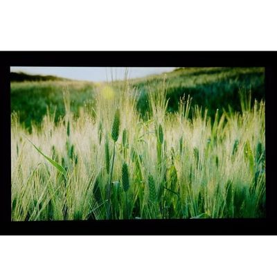 10.1&quot; LCM  1024×600RGB   350cd/m²   LQ101W3LG01  Sharp  TFT LCD Display