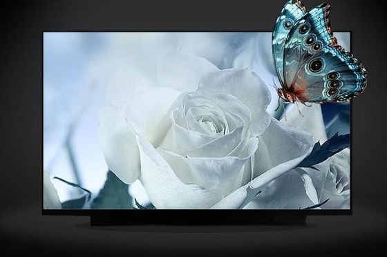 N161HCA-EA3 Innolux 16.1&quot; 1920(RGB)×1080 300 cd/m² INDUSTRIAL LCD DISPLAY